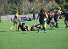 Finale Académique Rugby